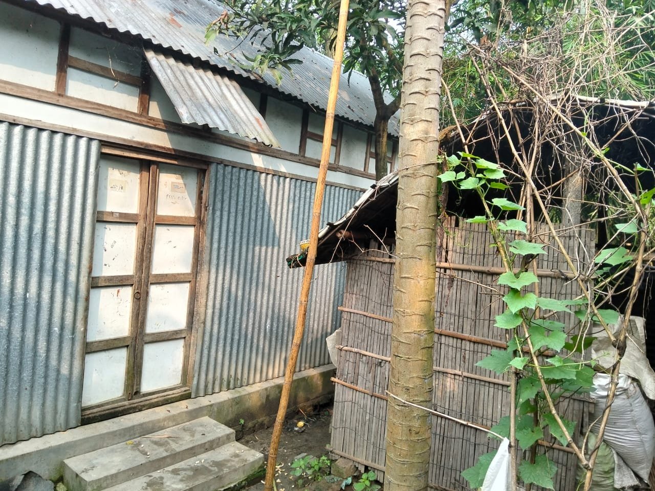 Tin/corrugated house with plants.